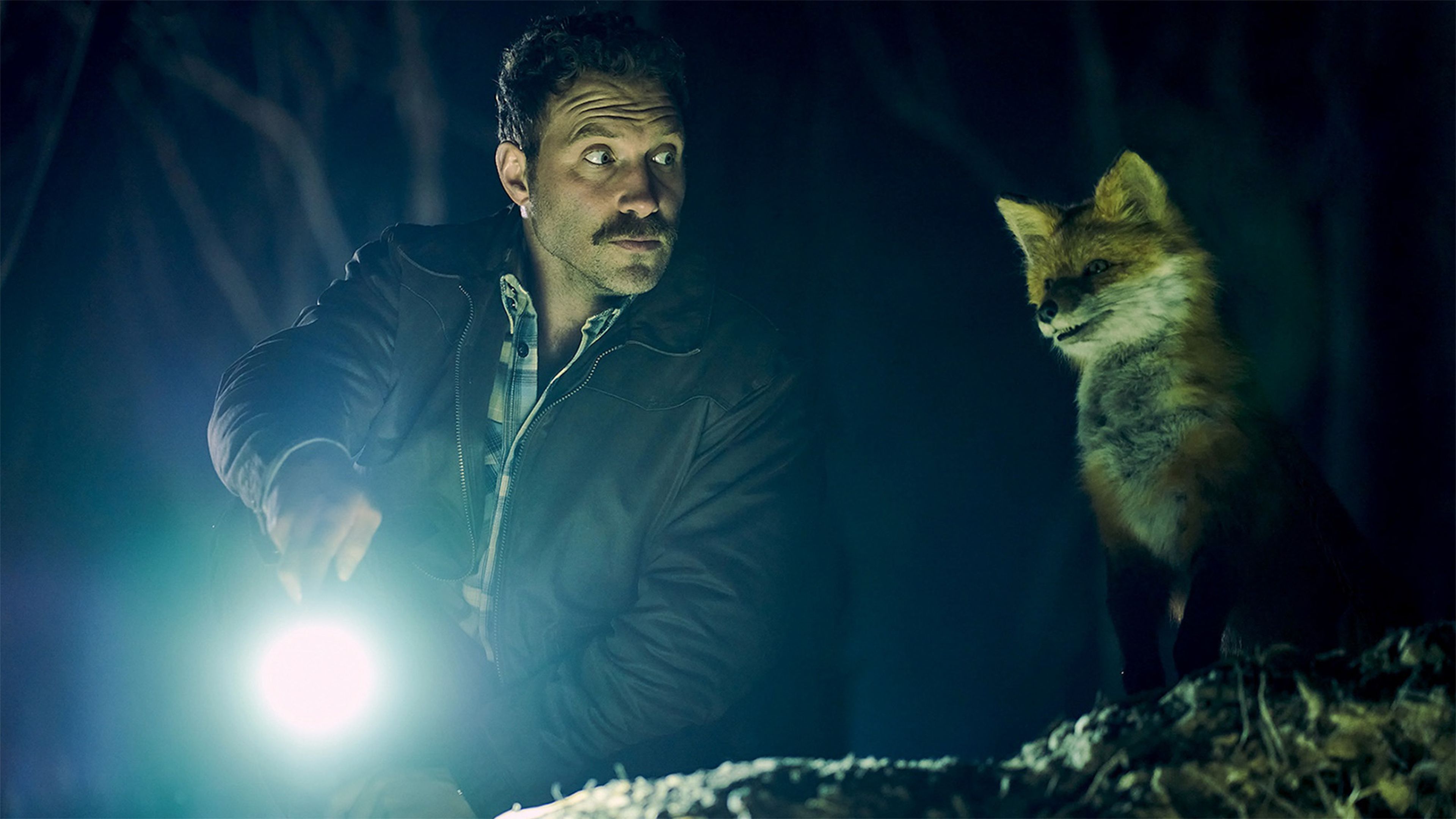The Fox