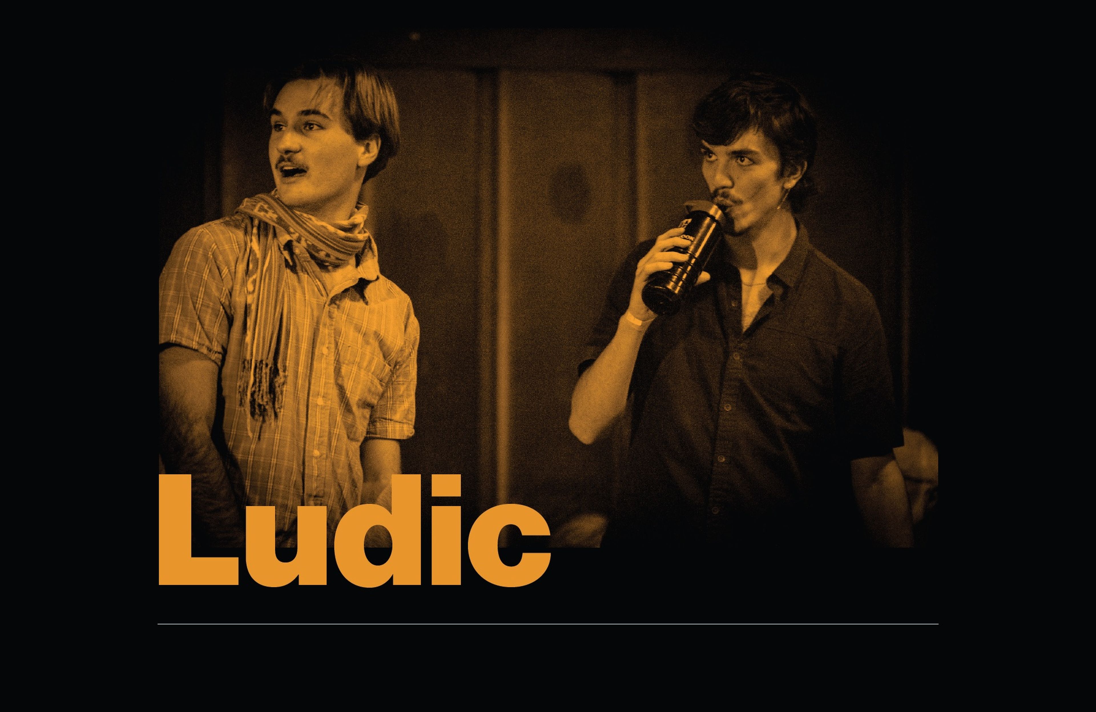 Ludic