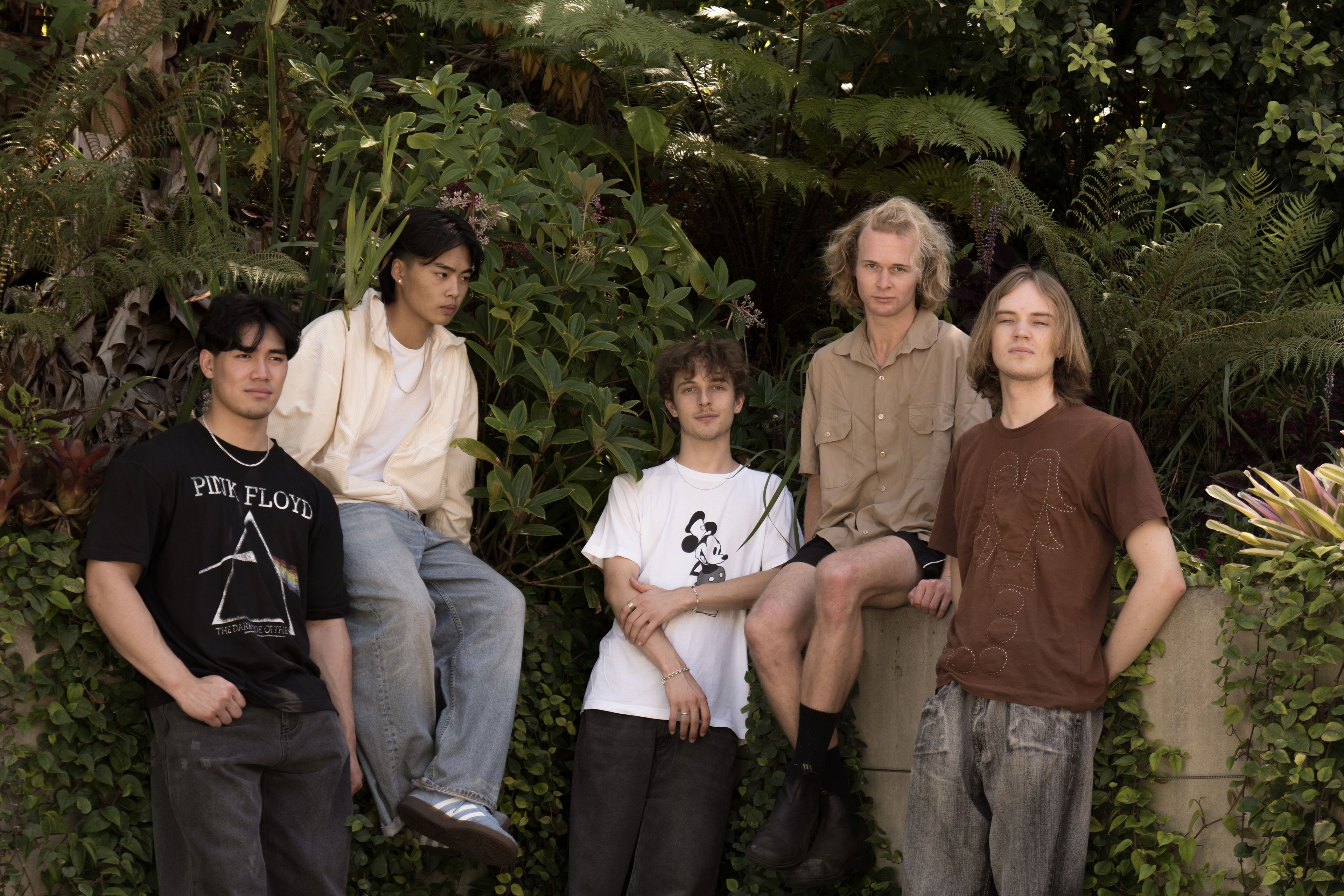 New Sun: Live On the Golden Stage