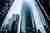 business finance trends 2025