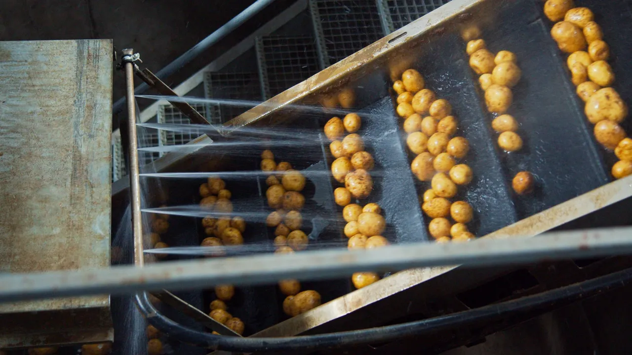 Food production manufacturing machine.