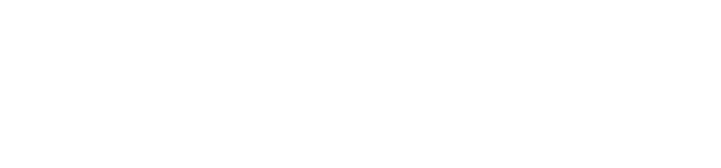 Strukton logo dark