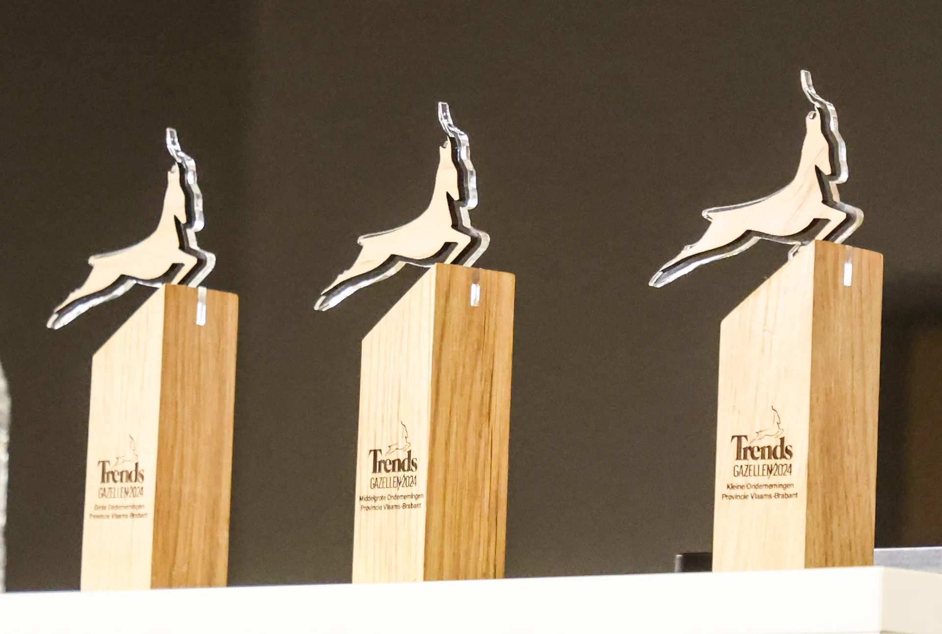 three awards of Trends Gazelle