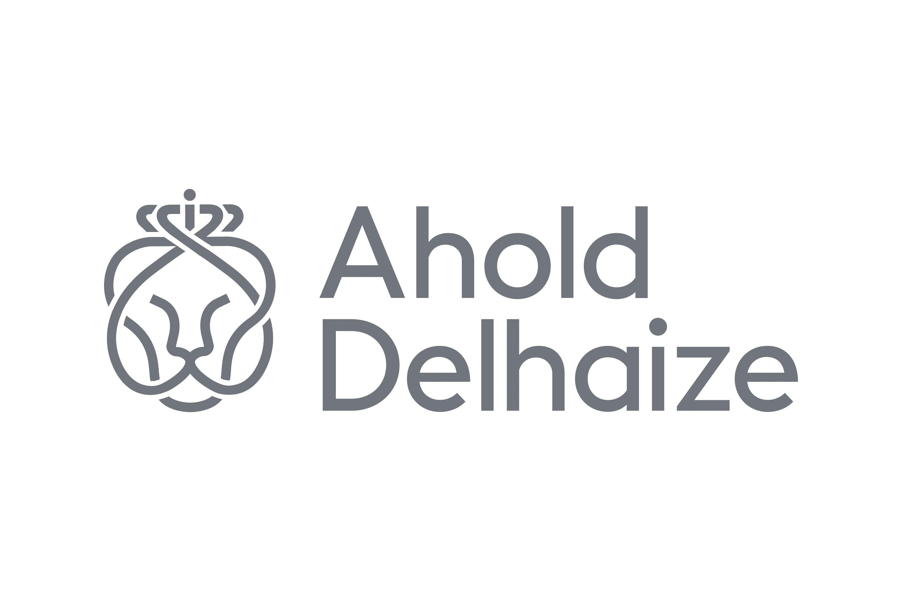 Ahold Delhaize