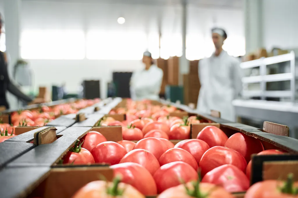 Food production company quality check.