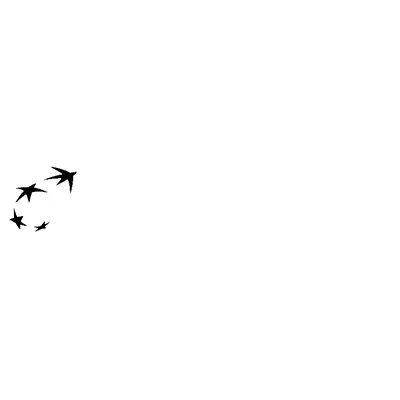 BNP Paribas Logo Dark