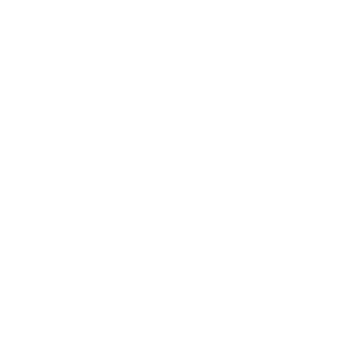 Digipolis Logo Dark