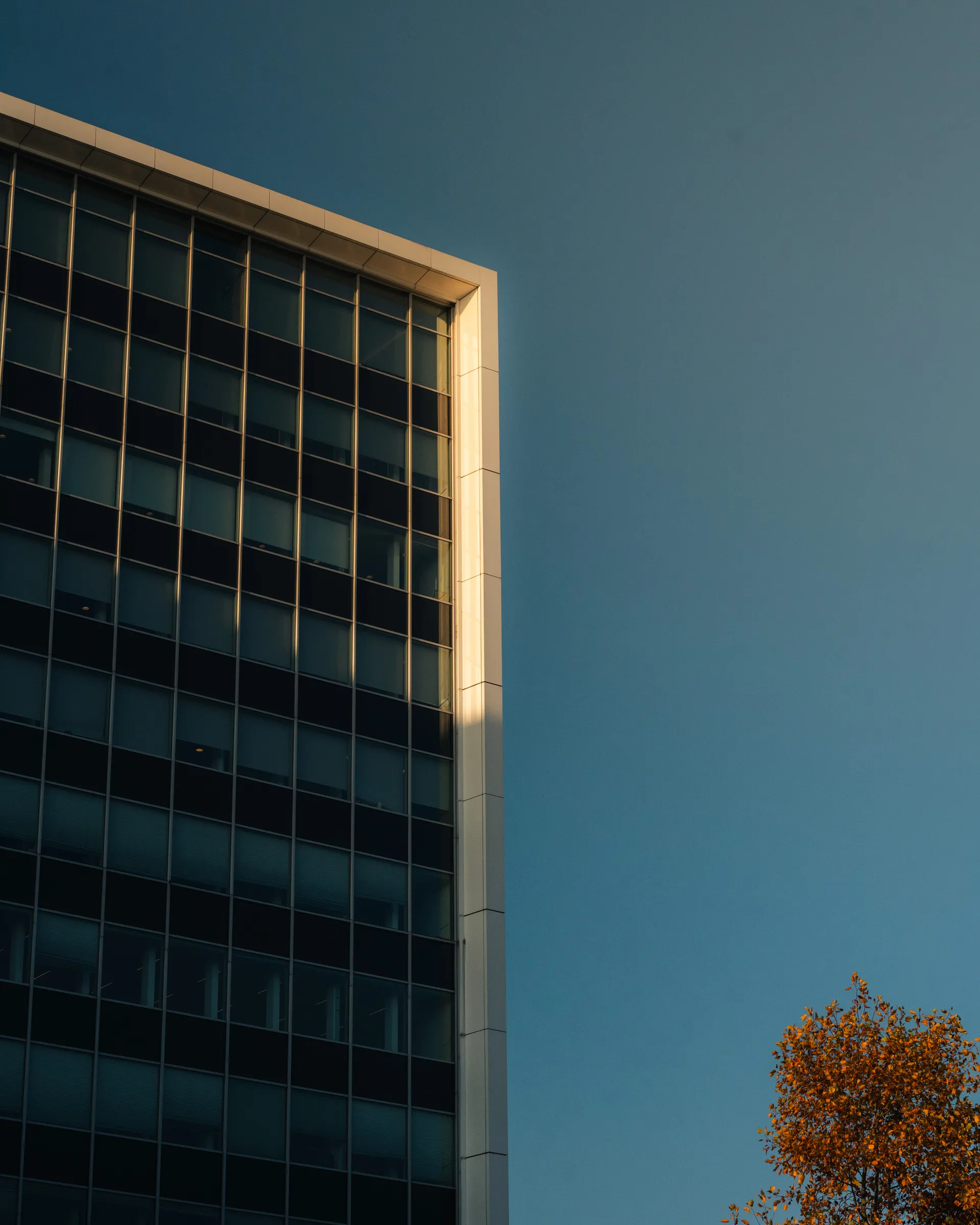 Pauwels Consulting Ghent
