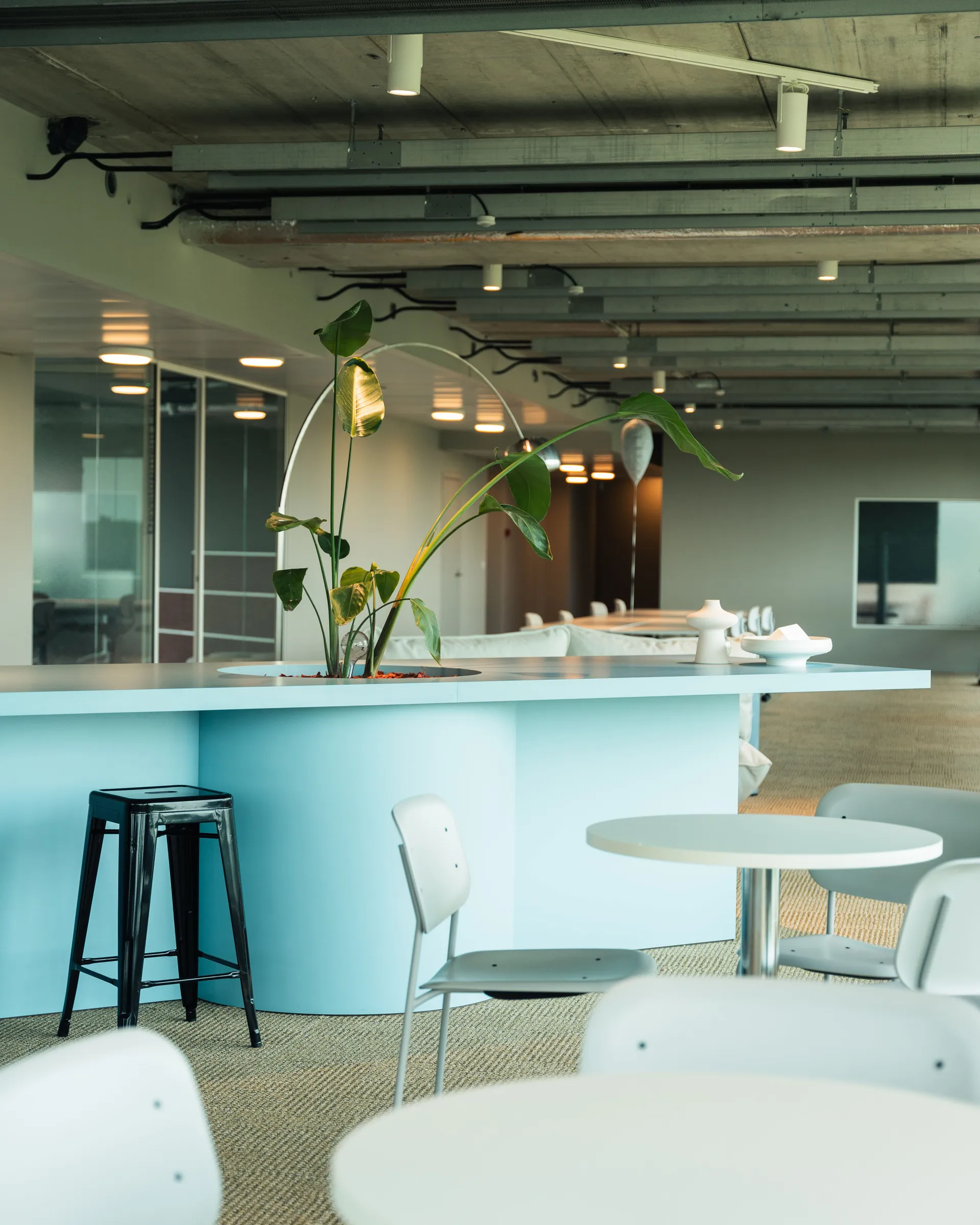 Modern office space with light blue tables, white chairs, a plant centerpiece, and a black stool, under exposed ceiling beams.