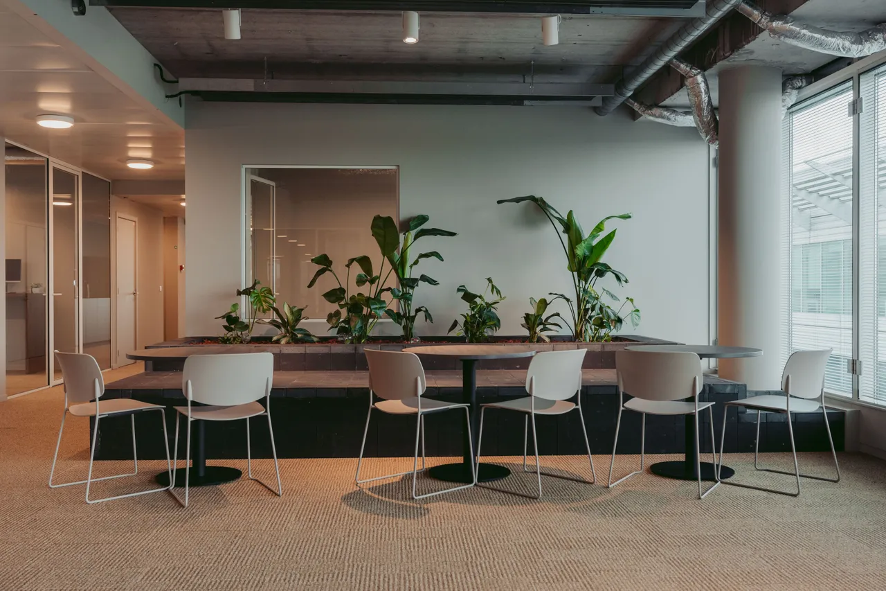 Modern office space with a row of white chairs and tables, potted plants, and large windows allowing natural light to illuminate the area.
