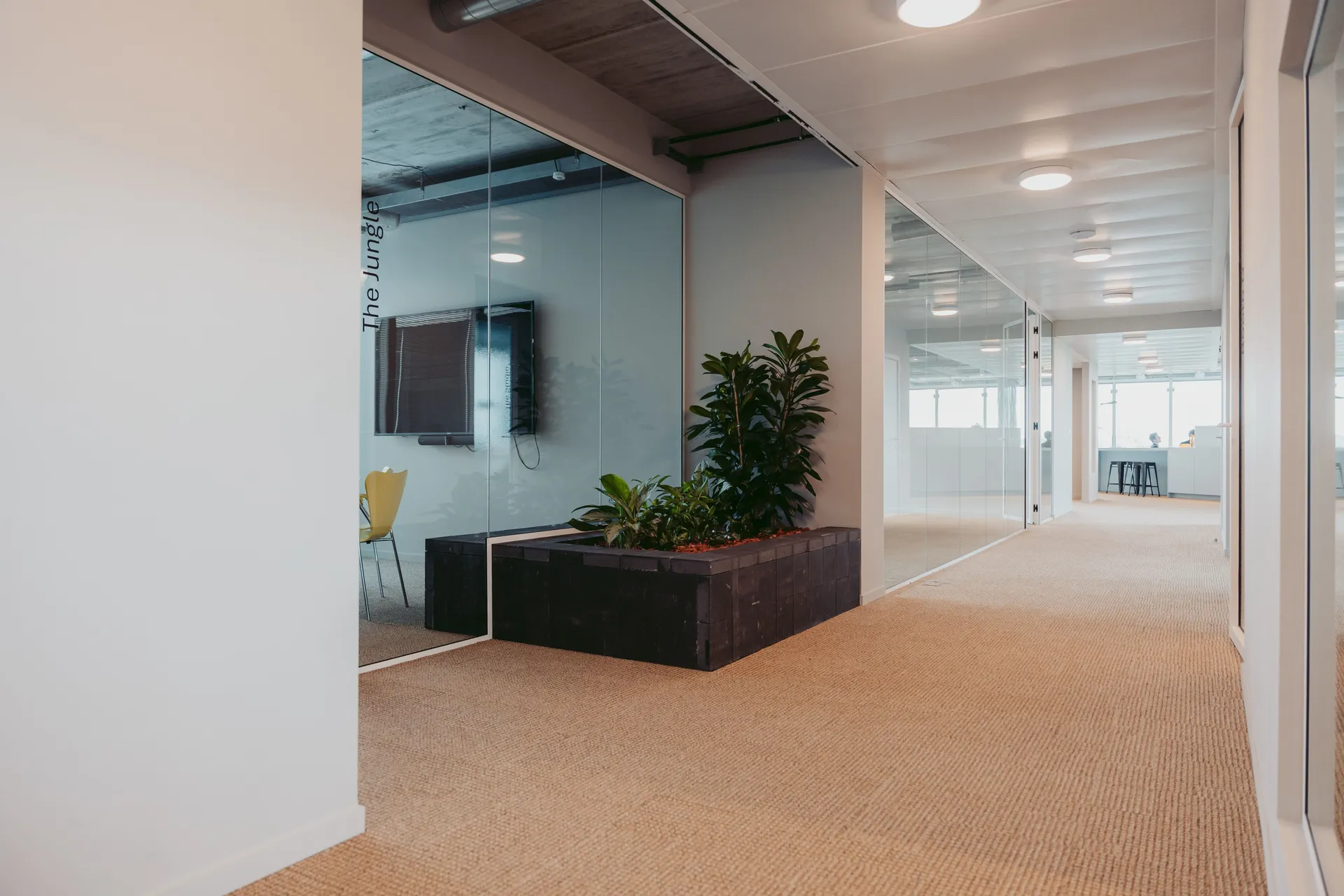 Modern office hallway with glass-walled meeting room, potted plants, beige carpet, and ceiling lights. Bright and spacious atmosphere.