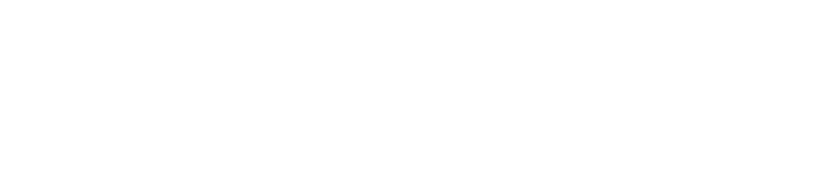vandemoortele logo white