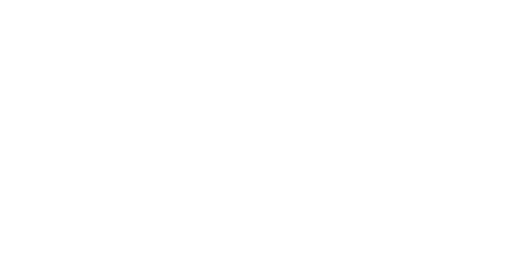 Flanders Make logo white