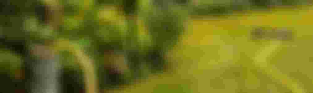 Sprinklers / irrigation