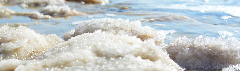 Pompa sommergibile per acqua salata