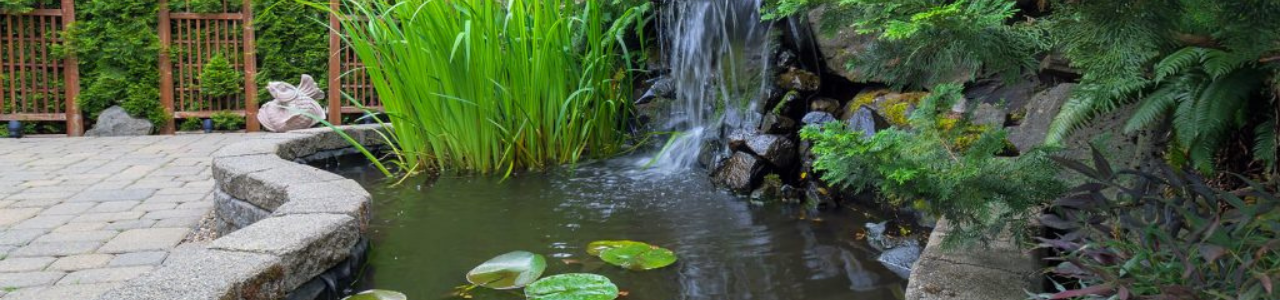 Wie kann ich meinen Teich reinigen? Wasserpumpe