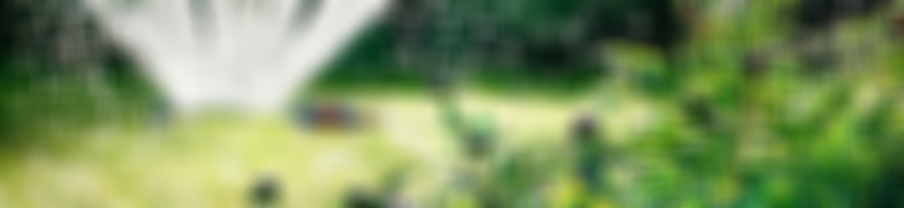 Sprinkleranlage zur Bewässerung eines Gartens mit grünen Pflanzen und violetten Blumen im Mittelpunkt, wobei das Sonnenlicht einen Glitzereffekt auf den Wassertropfen erzeugt.