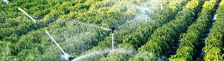 Welche Vorteile bietet eine Gartenpumpe?