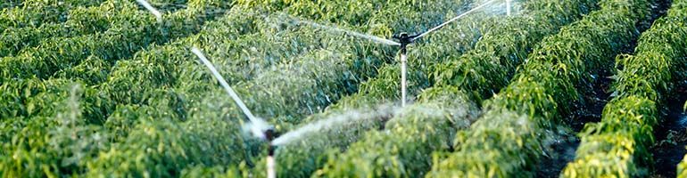 Wat zijn de voordelen van een beregeningspomp?