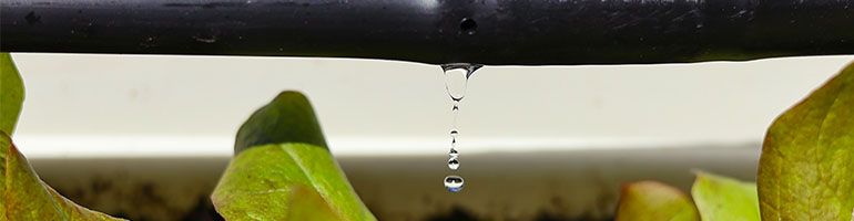 DIY: Planten water geven met een druppelslang en natuurwater