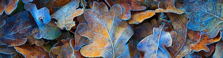 Opslaan van uw beregeningspomp in herfst & winter