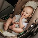 3 month baby