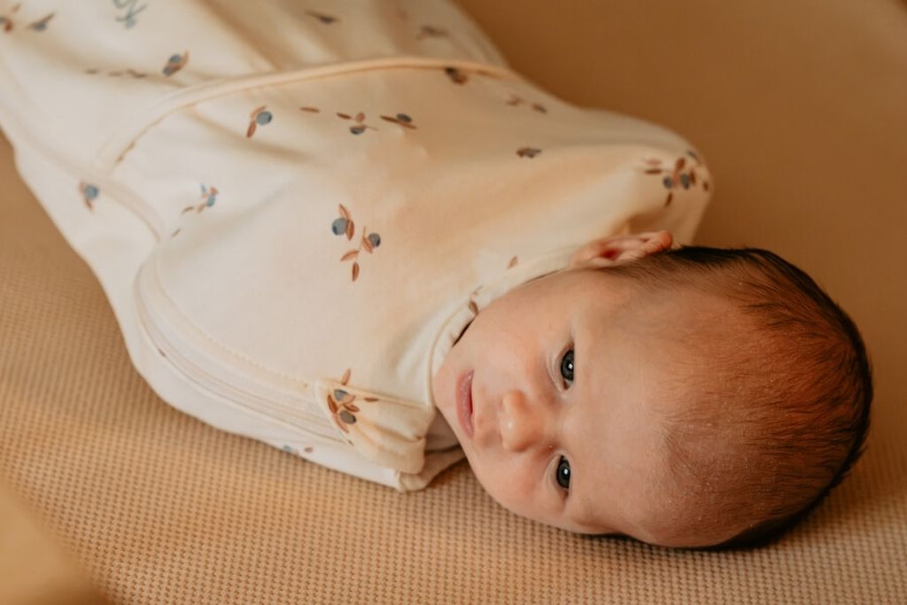 Piep swaddle bag blueberry design