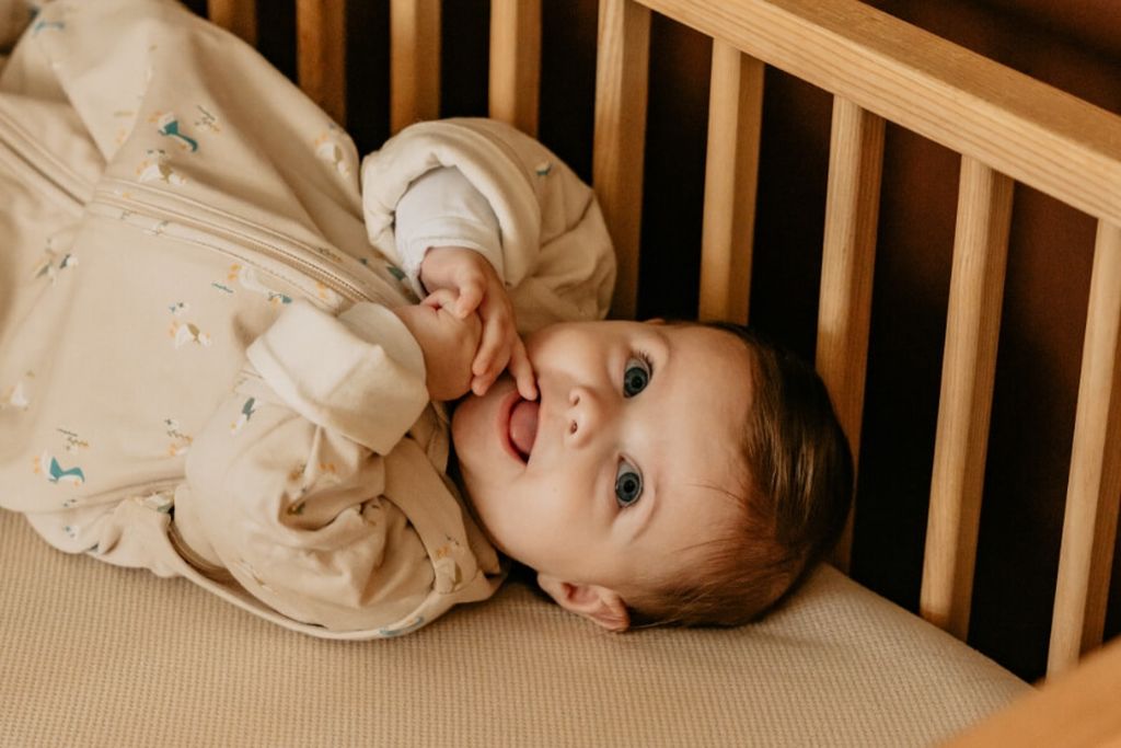 newborn sleeping bag goose design