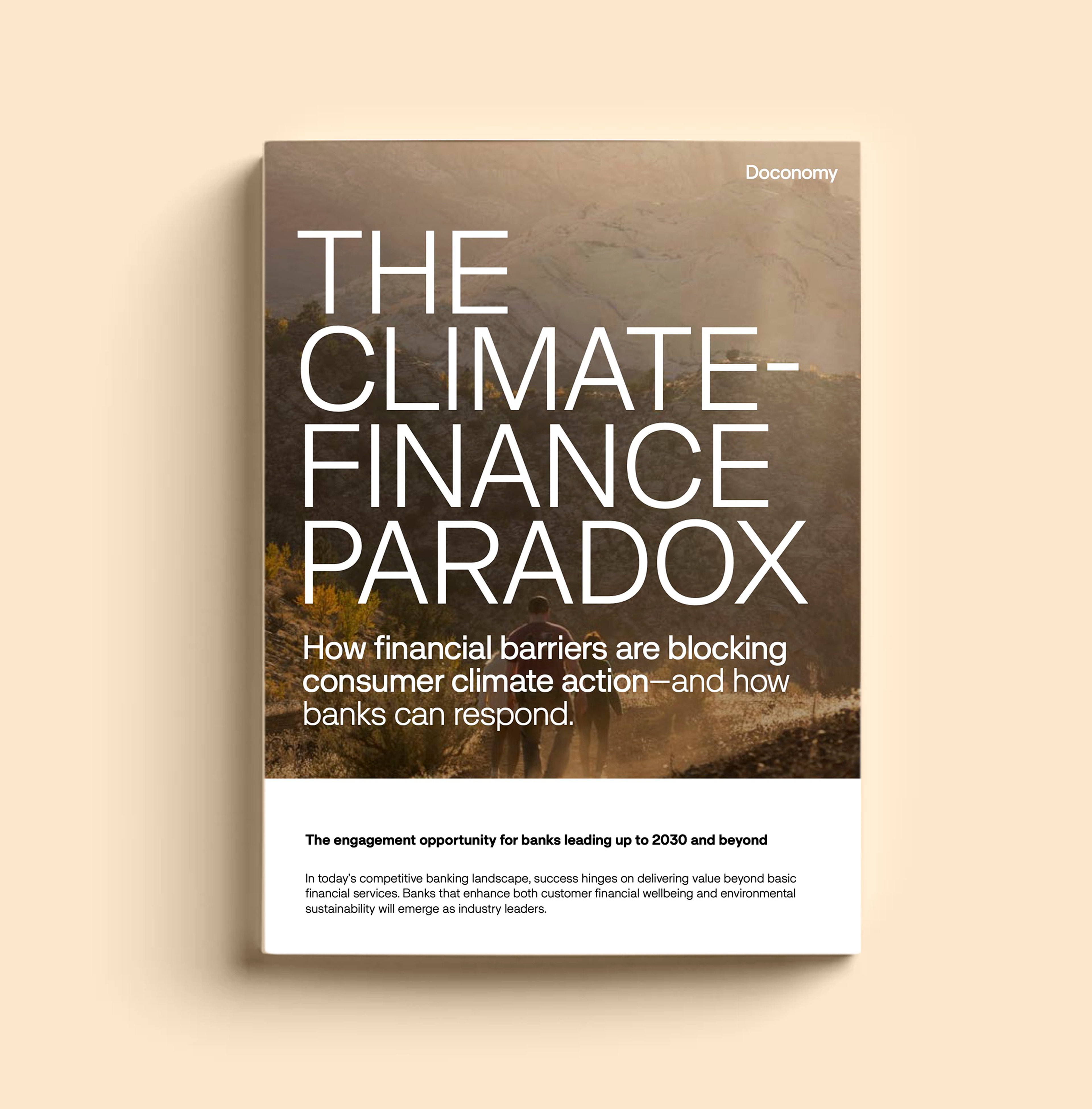 The Climate Finance Paradox Report - Doconomy