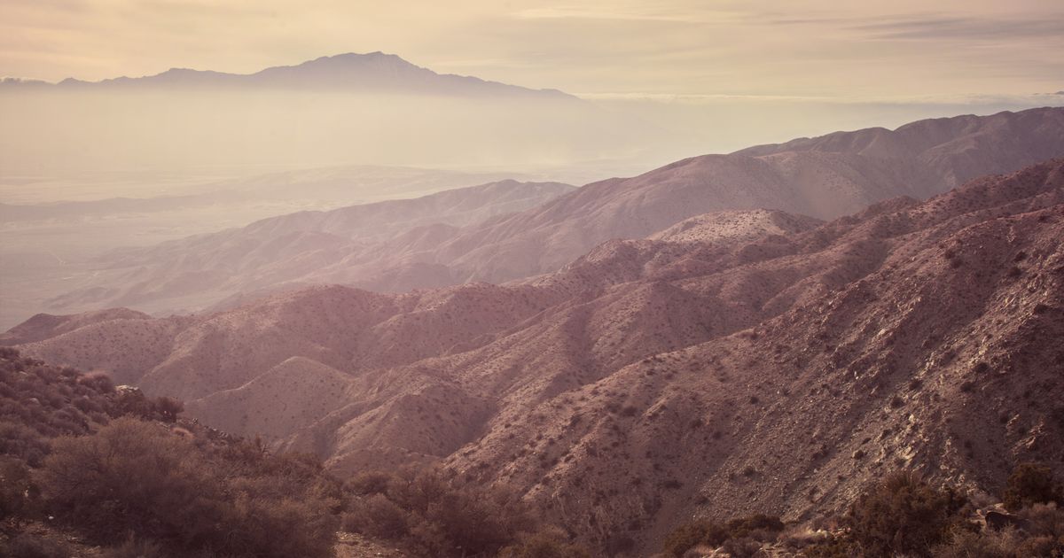 Financial Wellbeing Doconomy