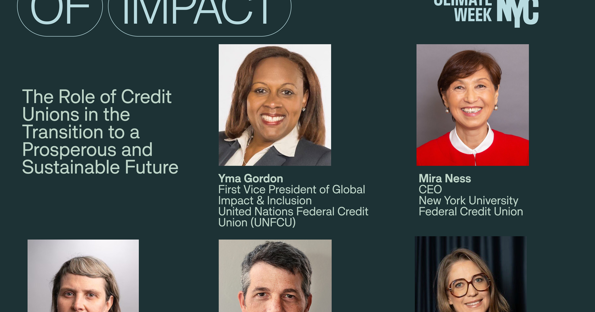 Ncuf Development Issues Stage of Impact: The Role of Credit Unions in the Transition to a ...
