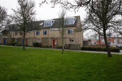 Blok eensgezinswoningen met voetpad en grasveld met bomen ervoor