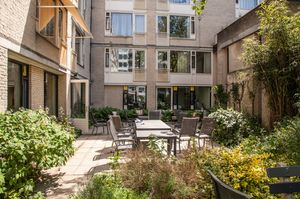 Zonnige binnentuin met een terras. Tuintafel met stoelen en veel planten om het terras.