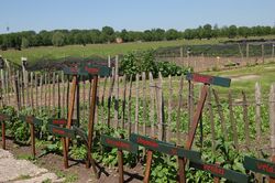 Een akker met verse groenten met daarvoor houten palen omheining en houten bordjes met namen van groenten erop geschilderd.