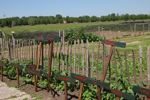 Een akker met verse groenten met daarvoor houten palen omheining en houten bordjes met namen van groenten erop geschilderd.
