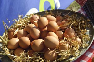 Een metalen schaal vol met eieren.