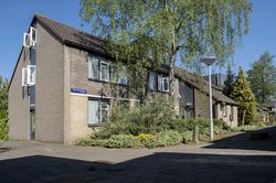 Een rustige woonstraat met veel groene bomen en een gebouw met drie verdiepingen en een puntdak.