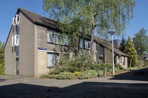 Een rustige woonstraat met veel groene bomen en een gebouw met drie verdiepingen en een puntdak.