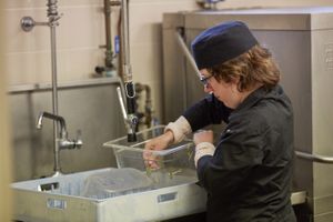 Internationale School Amsterdam