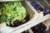 Houten kistjes naast elkaar met daarin groenten zoals bieten en sla.