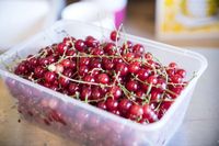 Een plastic bakje vol met rode aalbessen.