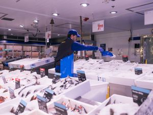 Een man met dikke jas, een blauw schort en blauwe pet staat in een kamer vol bakken met bevroren vis. Hij schept ijs bij een bak met vis.