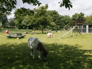 In een weiland staan twee pony's. Er staan bomen in de wei, een grote, ronde bank bank en trap.