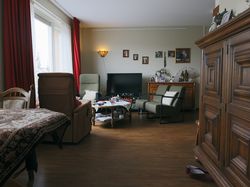 Een apartement met eikenhouten kast, tafel met Perzisch kleed, een sta-opstoel en bankje voor twee personen. Voor het grote raam hangen dikke donkerrode gordijnen.