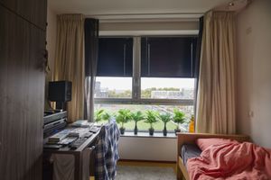 Een slaapkamer met bed en bureau met daarop veel cd's en afstandsbedieningen. In de vensterbank staan veel planten en er is uitzicht op een voetbalveld.