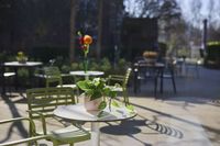 Een terras met groene stoelen, ronde tafels en planten. De zon werpt schaduwen op het terras.
