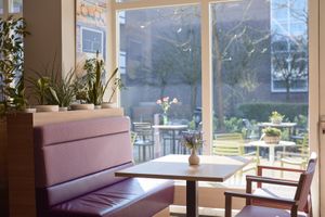 Zonnig caféinterieur met een paarse zitbank en een houten stoel bij het raam. Buiten is een tuinterras te zien.