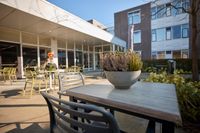 Een terrasje met tafels en stoelen, een pot met heide in het midden en een moderne gebouwgevel op de achtergrond onder een helderblauwe hemel.