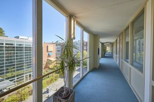 Lichte gang met blauw tapijt, grote ramen met uitzicht op gebouwen en groen buiten. Een potplant bij het raam.