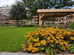 Uitzicht op de tuin met gras en met op de voorgrond een border met gele zonnehoeden en op de achtergrond twee houten overkappingen